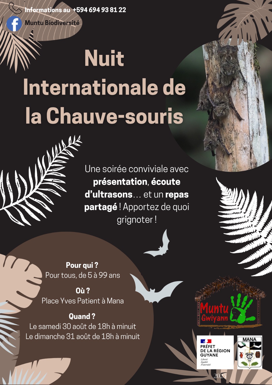 NUIT INTERNATIONALE DE LA CHAUVE-SOURIS