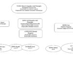 organigram PM2022