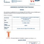 EDF 21