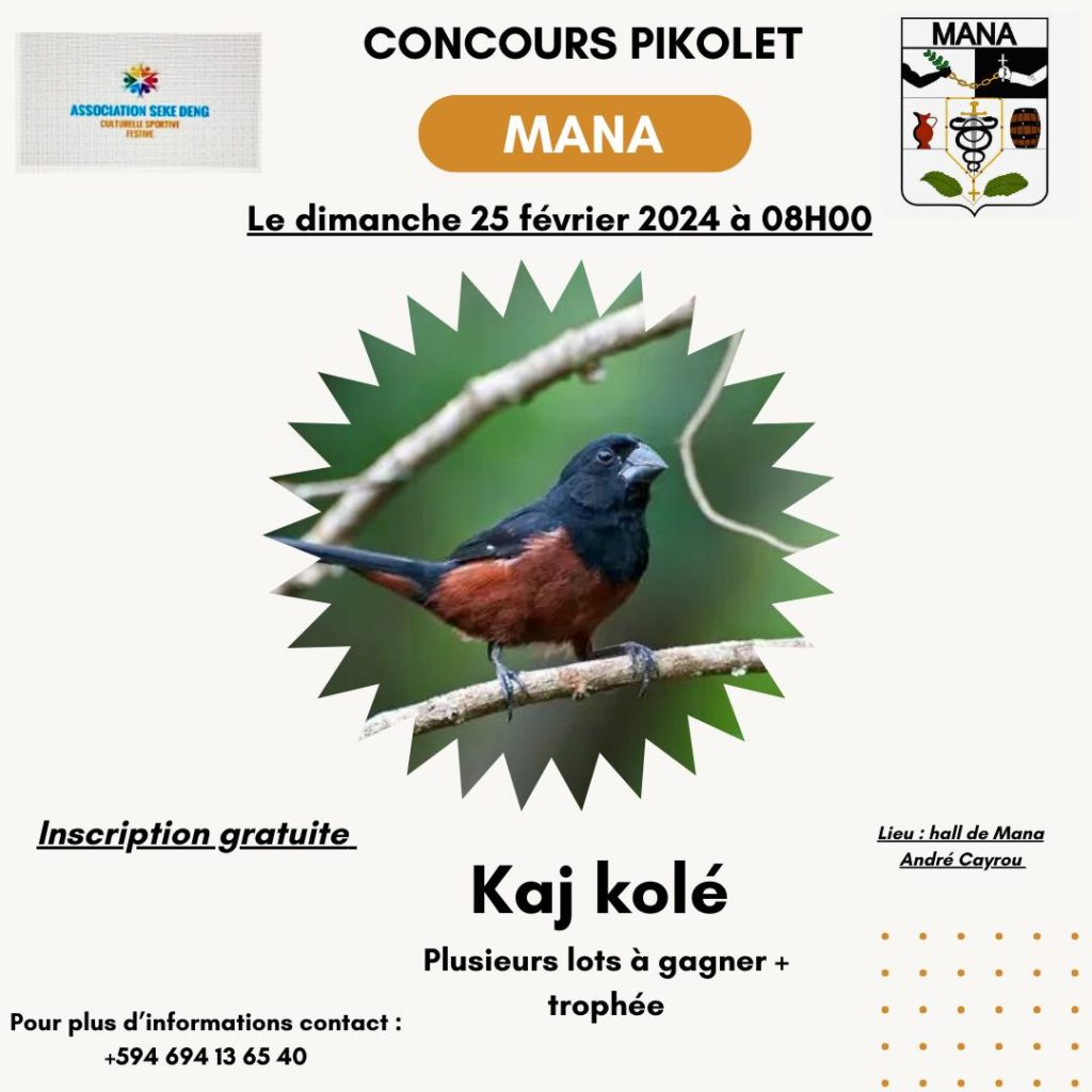 Concours Pikolet