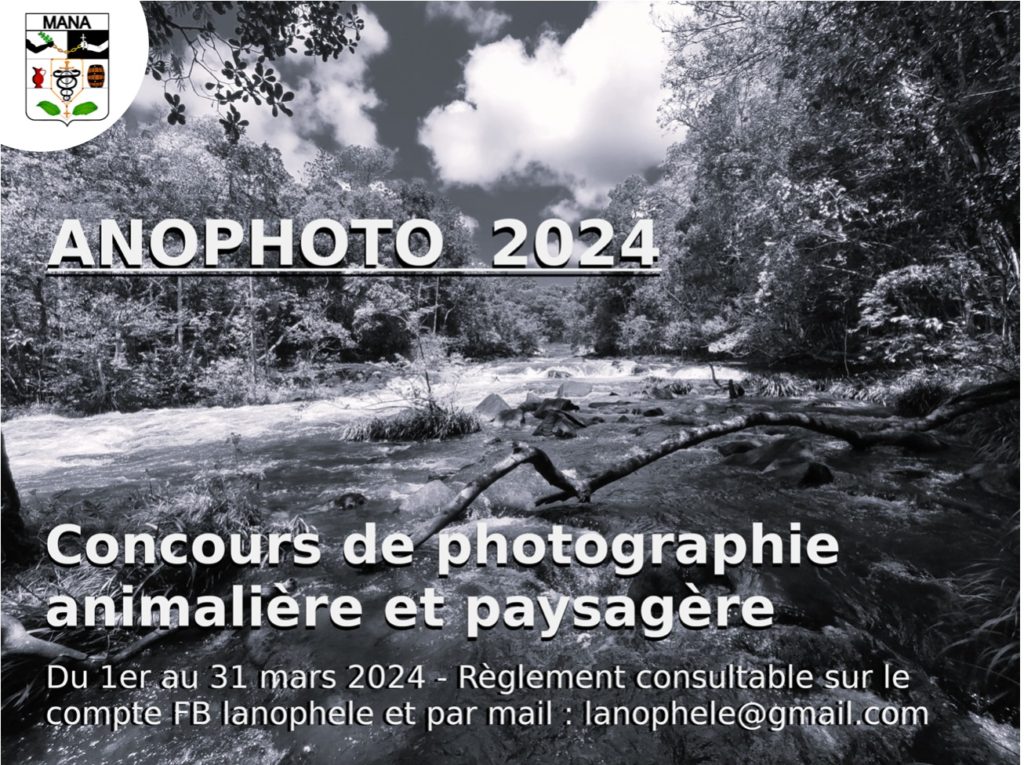 Anophoto 2024