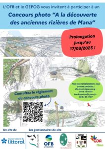 CONCOURS PHOTO À LA DÉCOUVERTE DES ANCIENNES RIZIÈRES DE MANA