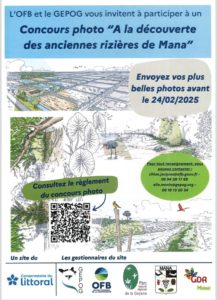 CONCOURS PHOTO A LA DÉCOUVERTE DU POLDER SARCELLE DES ANCIENNES RIZIÈRES DE MANA